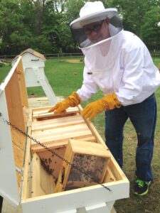 Guide To Beekeeping In your Backyard